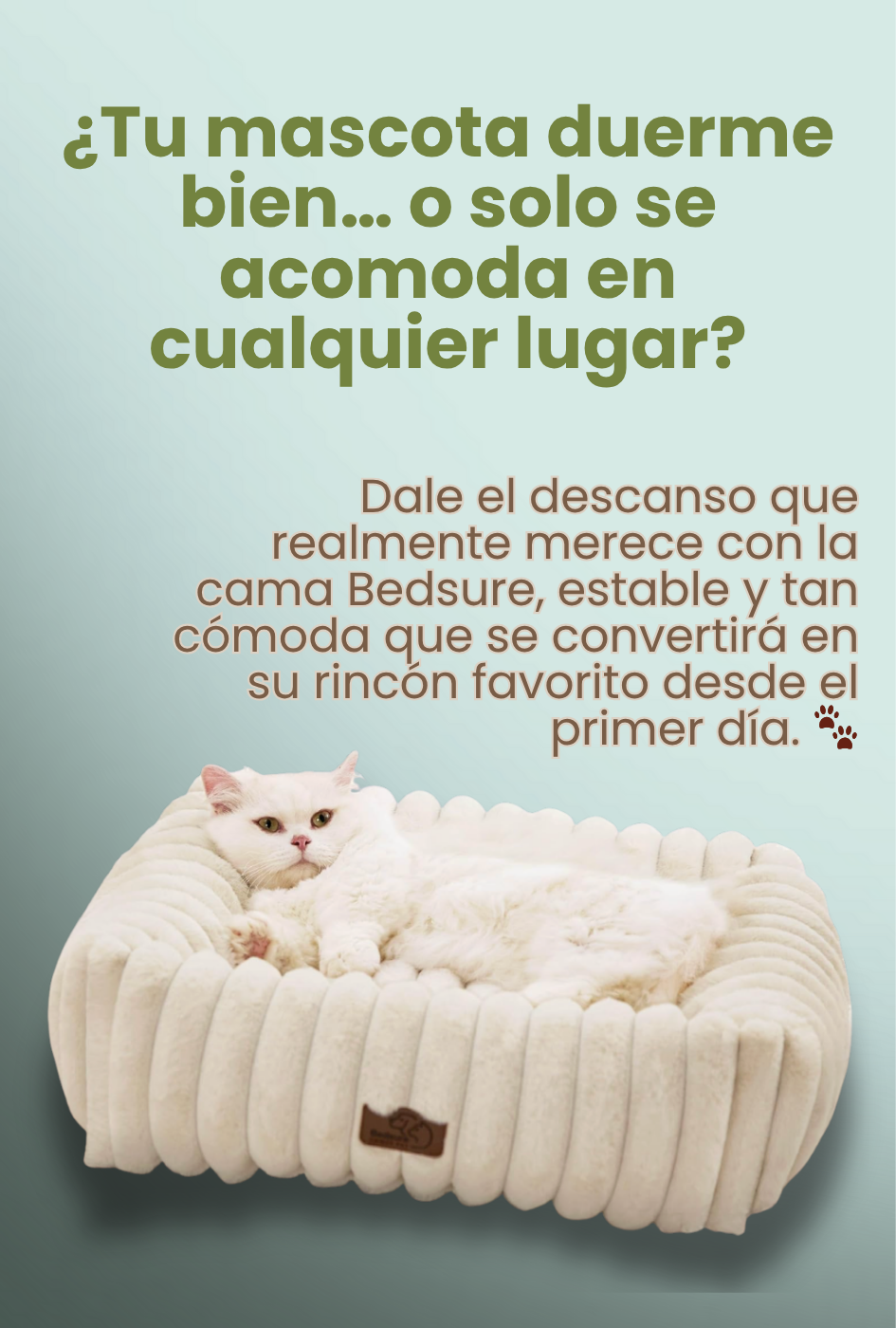 Bedsure  - Cama para perros pequeños y gatos - Comodidad para nuestras mascotas.